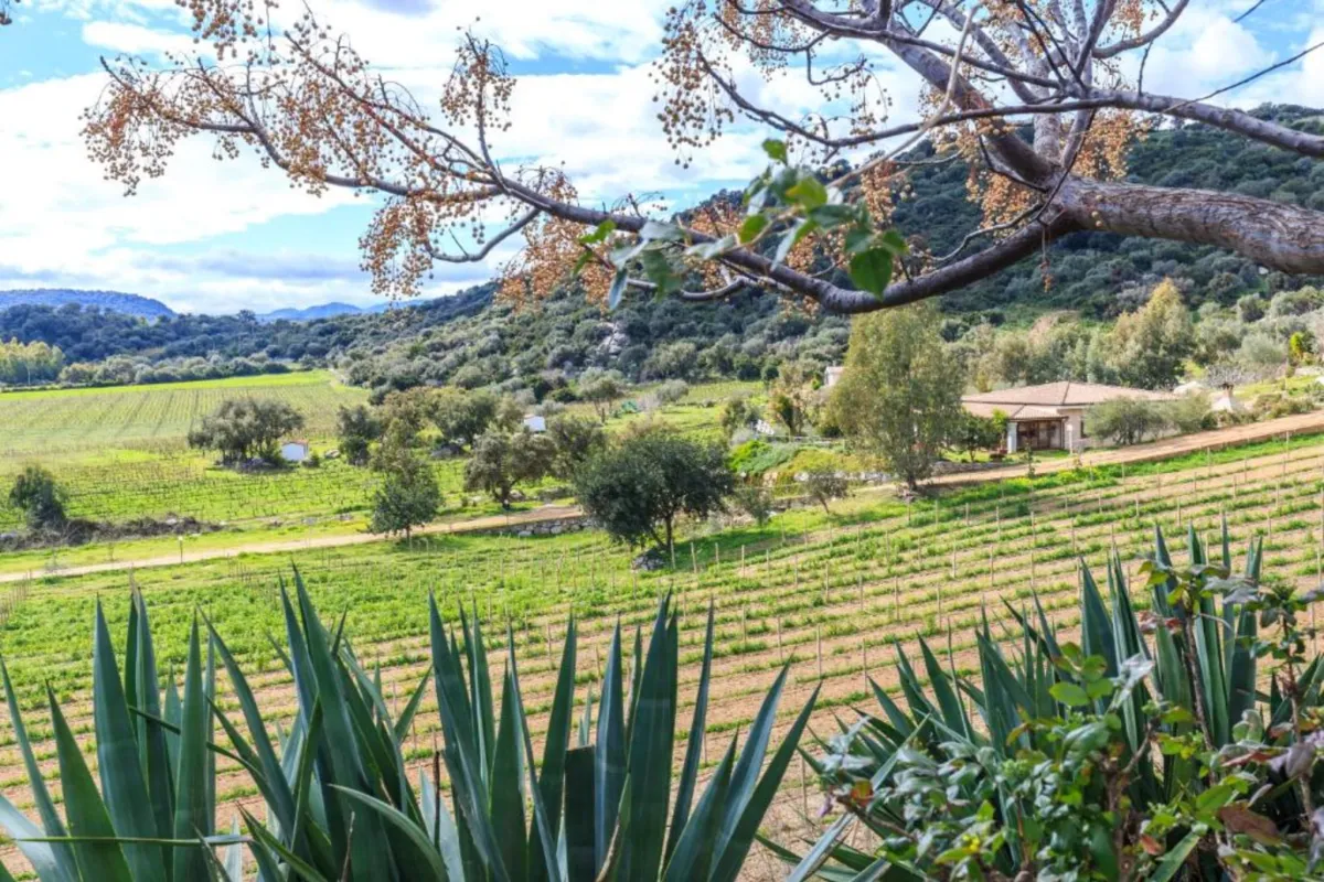 Foto dal sito di Agriturismo Su Solianu