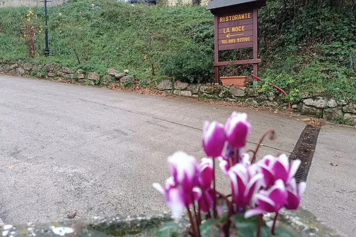 Foto dal sito di Ristorante La Noce De Novellis Rosa Maria