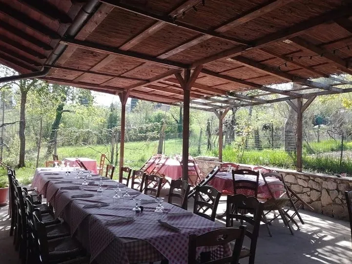 Foto dal sito di Trattoria Il Vigneto