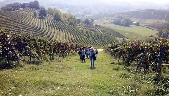 Foto dal sito di Agriturismo Bastian