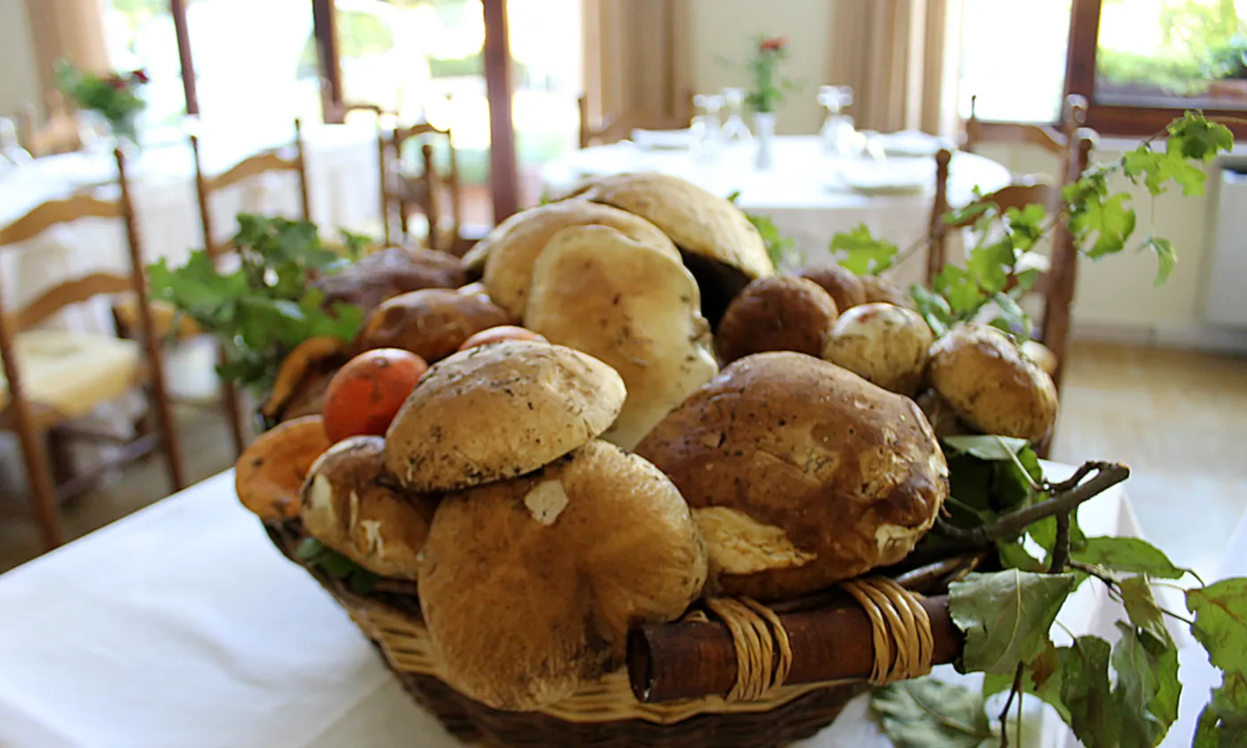 Foto dal sito di Ristorante Trattoria Terme