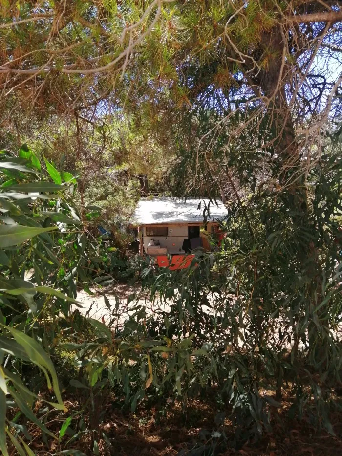 Foto dal sito di Restaurant Pizzeria Nurapolis