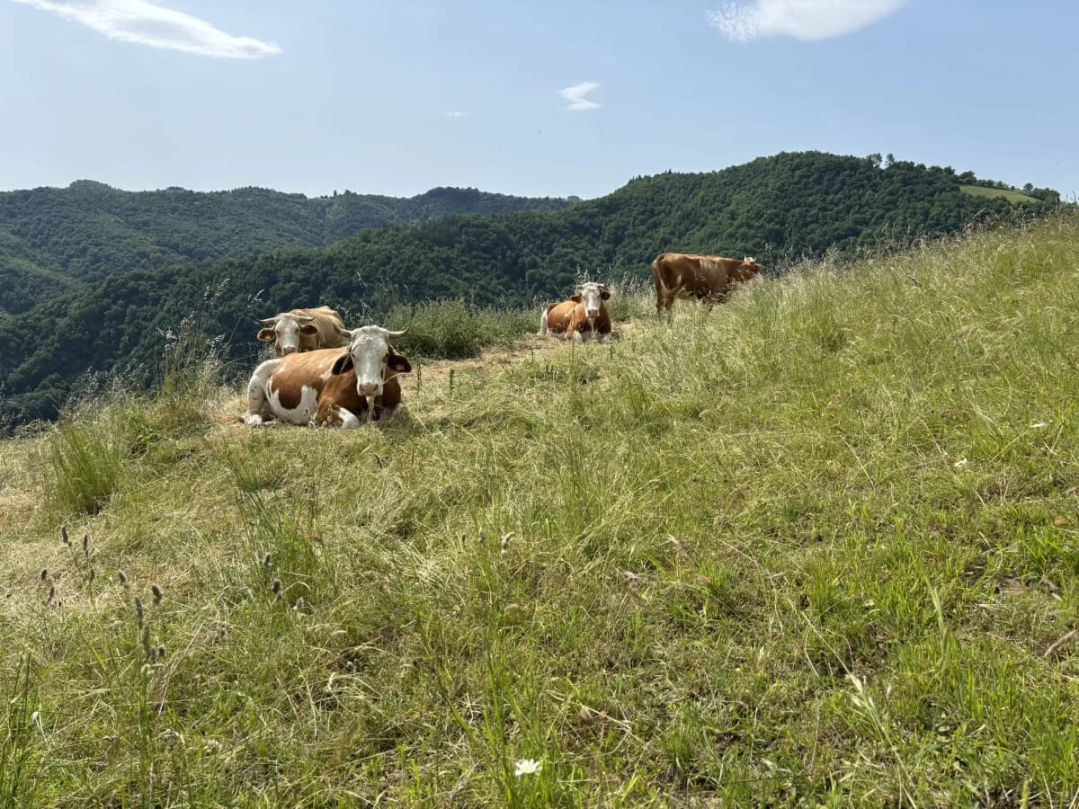 Foto dal sito di La Fattoria dei Sibillini