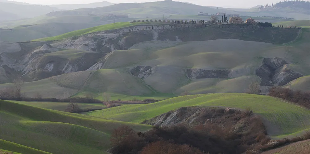 Foto dal sito di La Mencia