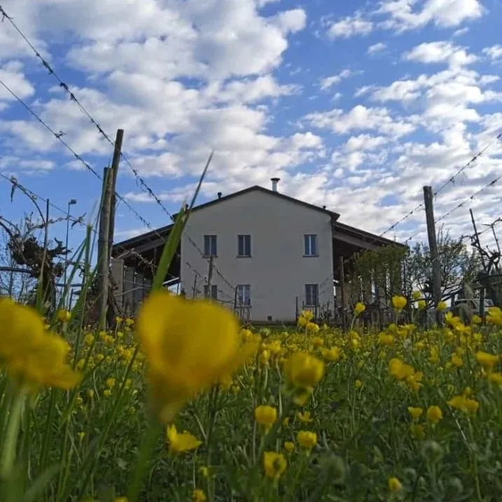 Foto dal sito di Agriturismo Boccette