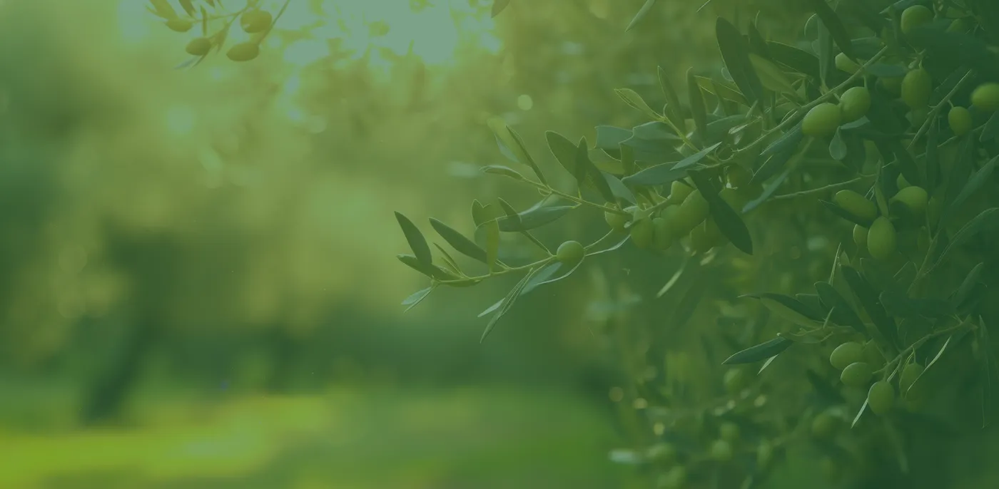 Foto dal sito di La Sabinese | Agriturismo