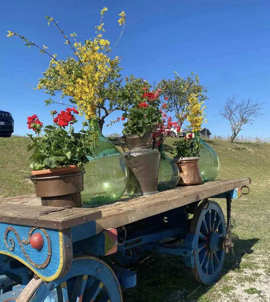 Foto dal sito di Agriturismo Casa Galli