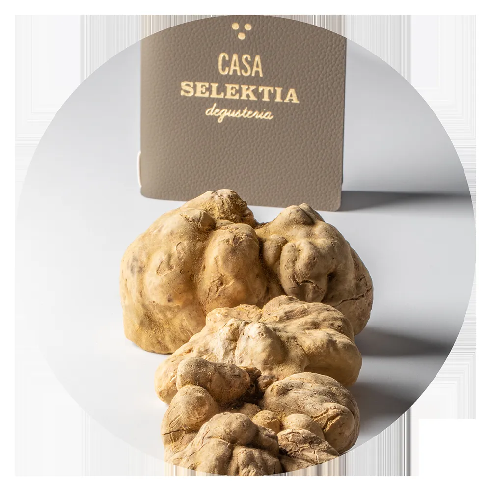Foto dal sito di Casa Selektia