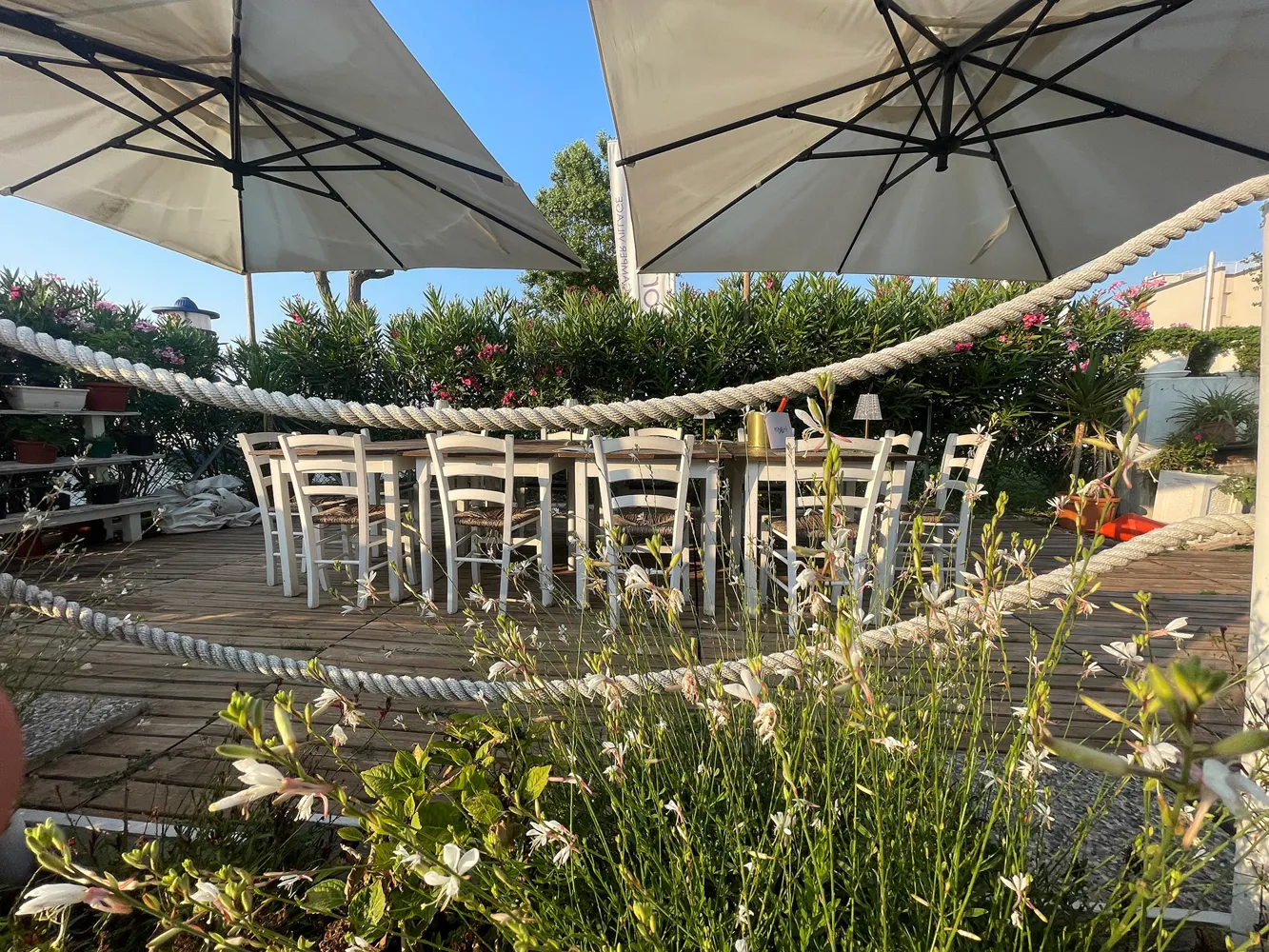 Foto dal sito di Romagna Mia