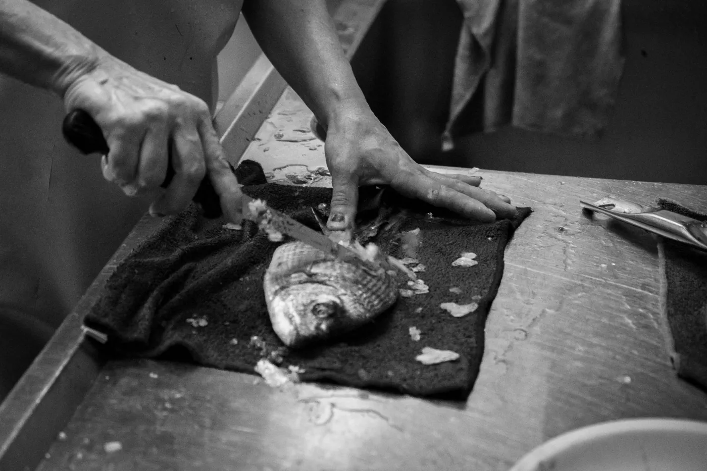 Foto dal sito di Trattoria Al Nuovo Antico Pavone - Trieste