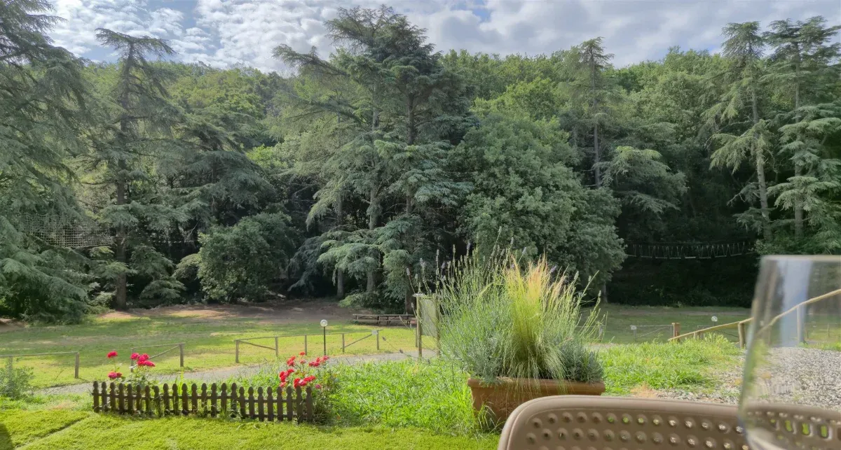Foto dal sito di Osteria del Cinghiale
