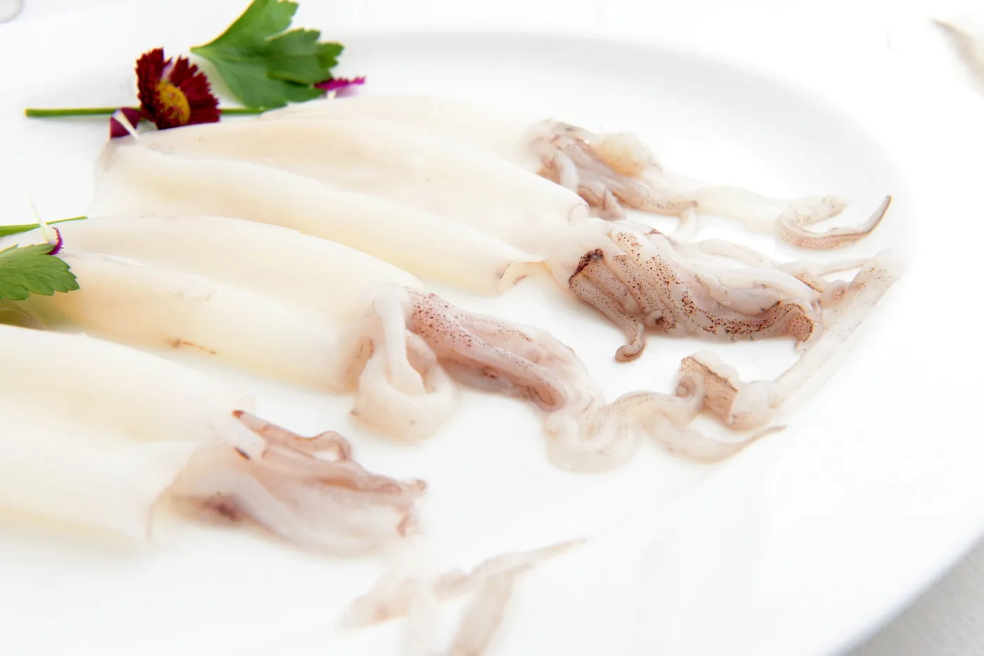 Foto dal sito di Ristorante Lapprodo