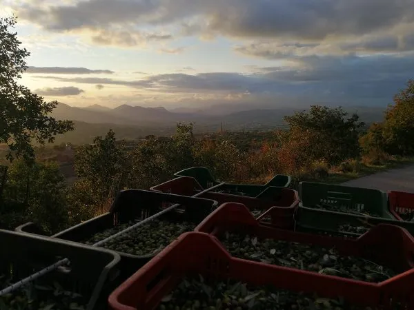 Foto dal sito di La Collina dei Goti Agriturismo