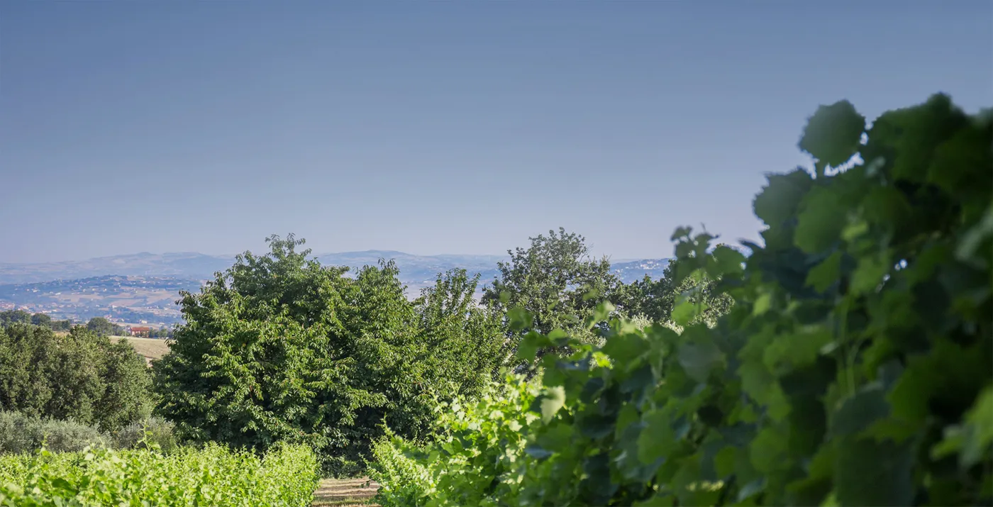 Foto dal sito di Il Mulino della Signora Luxury Country House