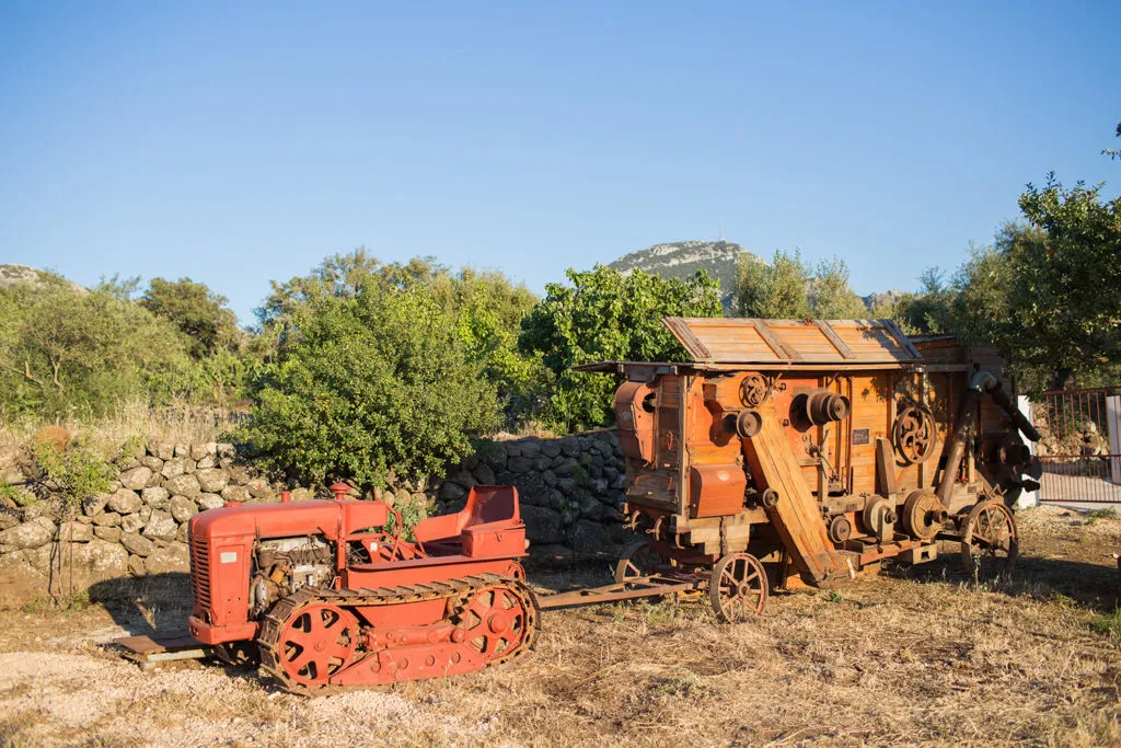 Foto dal sito di HOTEL BARBAGIA Ristorante Tipico e Residenza Rurale ai Piedi del Supramonte