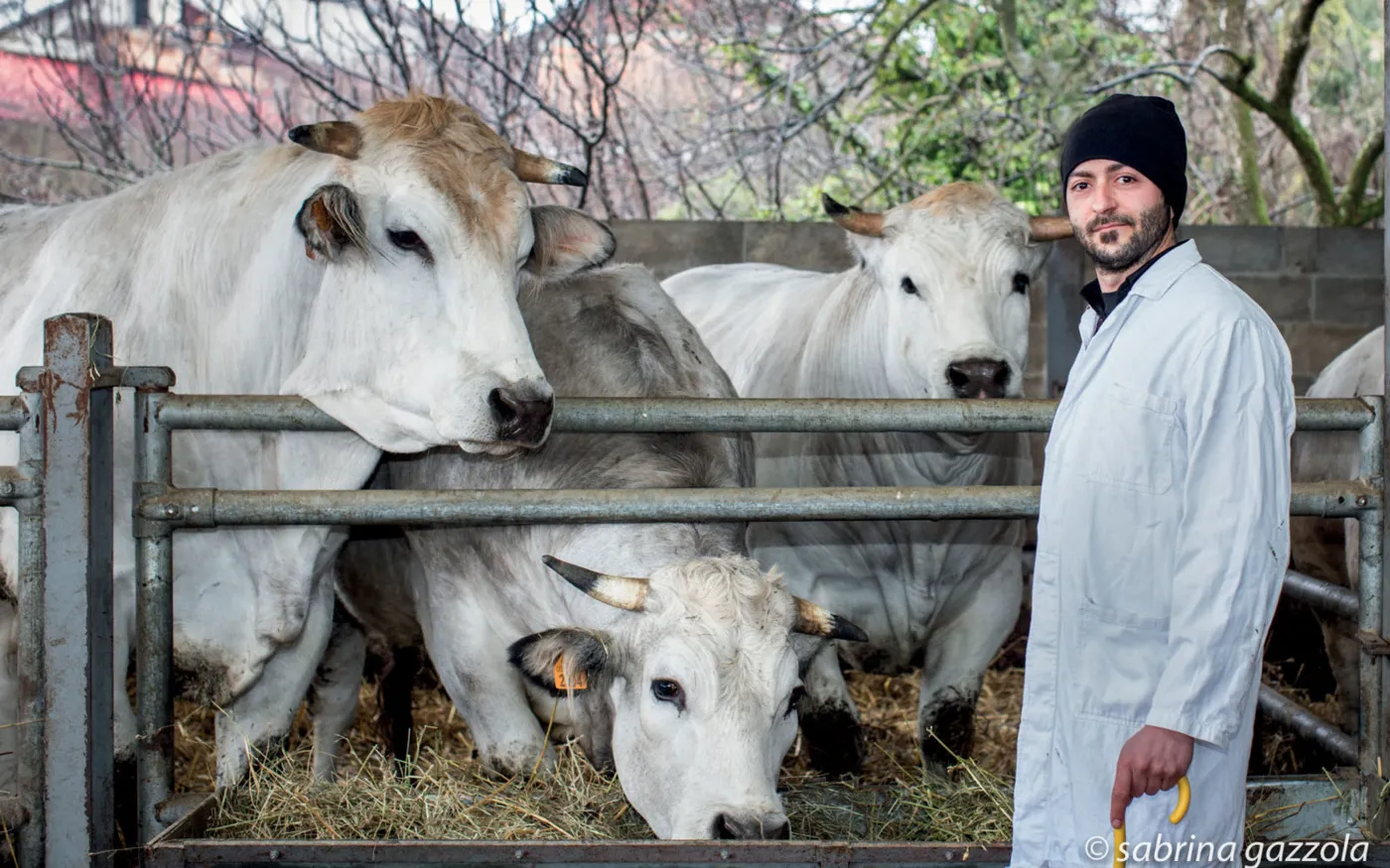 Foto dal sito di Osteria del Macellaio di Paolo Lucariello