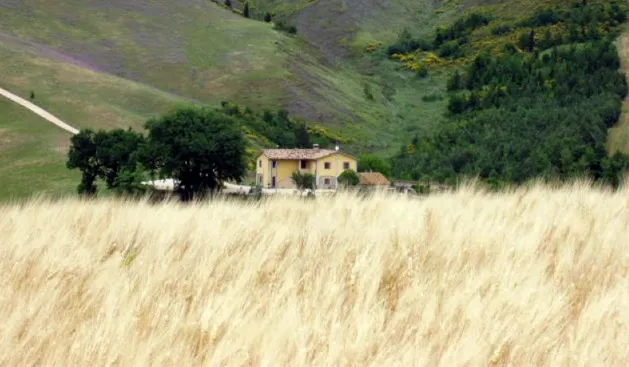 Foto dal sito di Agriturismo Le Sodere